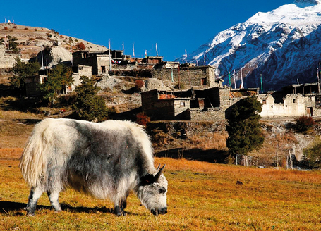 Nepal