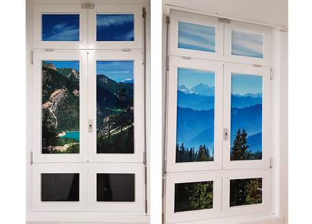 Fenster beklebt mit Naturmotiv